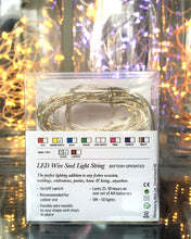 Load image into Gallery viewer, Silver Wire Seed Lights - Warm White 5m
