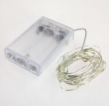 Load image into Gallery viewer, Silver Wire Seed Lights - Warm White 5m
