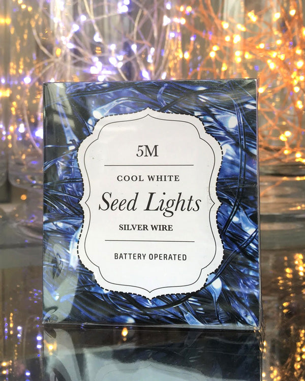 Silver Wire Seed Lights - Cool White 5m